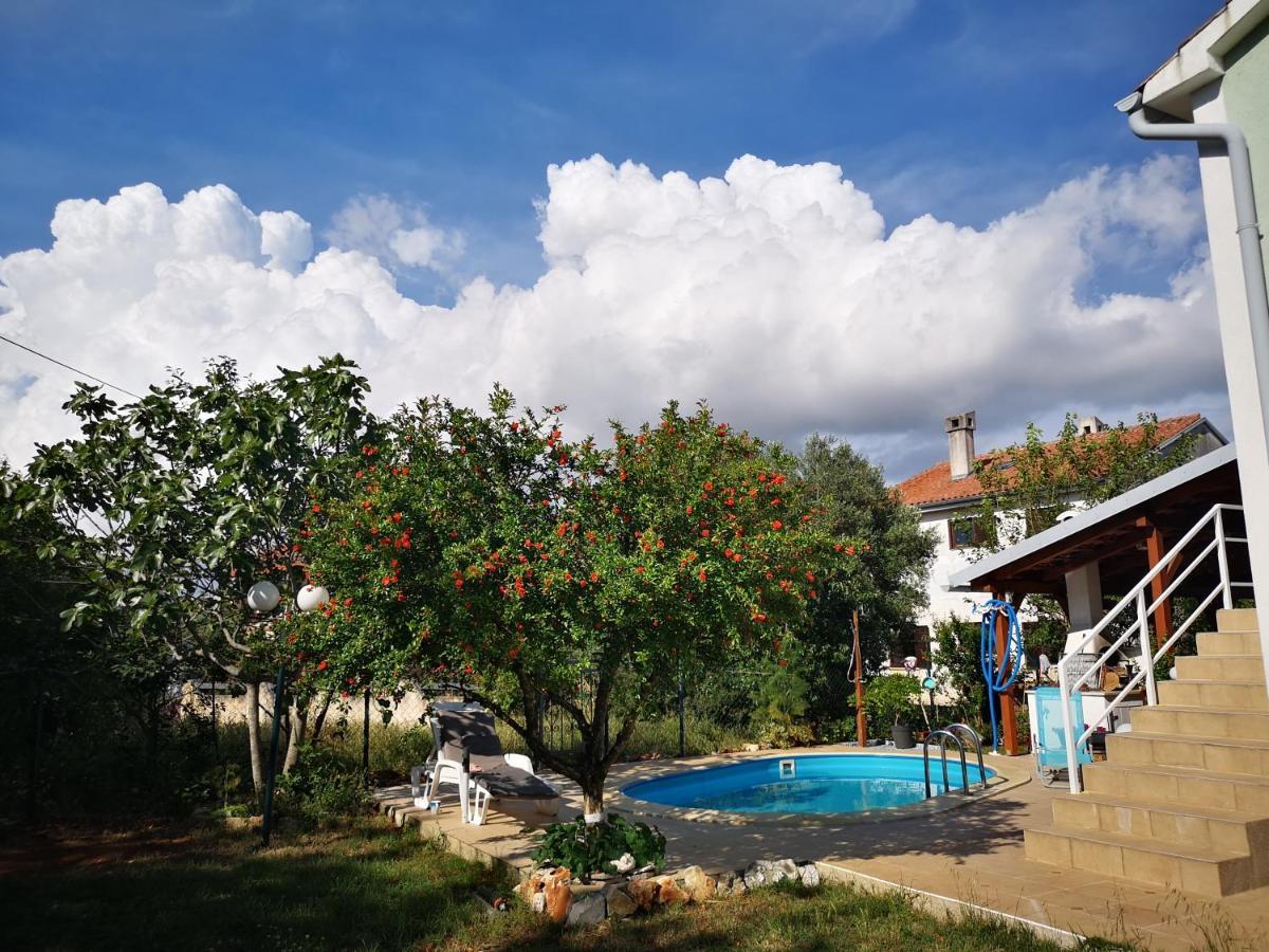 Chillout Apartments With Pool Patricia Фажана Екстер'єр фото