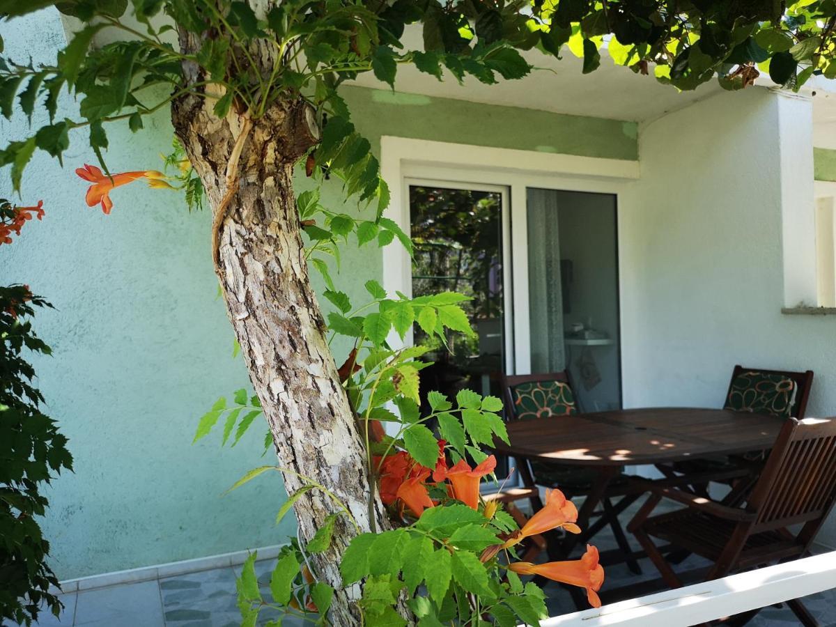 Chillout Apartments With Pool Patricia Фажана Екстер'єр фото
