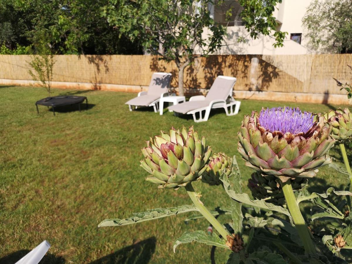 Chillout Apartments With Pool Patricia Фажана Екстер'єр фото